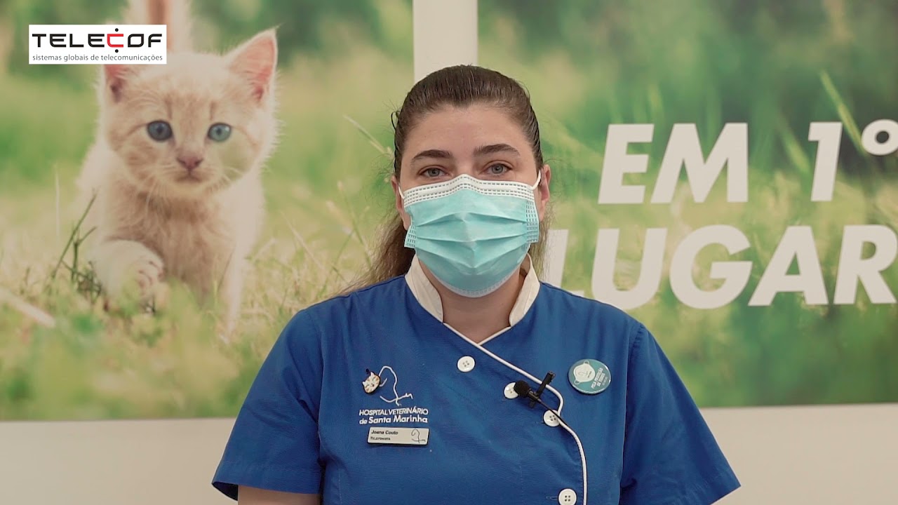 Depoimento de Hospital Veterinário Sta Marinha